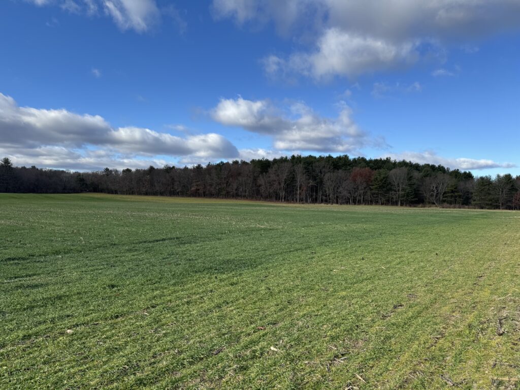 Rural vista with meadow in foreground and forest in the background, all under blue sky with scattered clouds