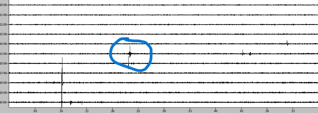 A photo of a seismograph readout -- a series of slightly squiggly black lines on white paper. The earthquake shows up as a small set (a few minutes) of longer lines (with a blue circle around it).